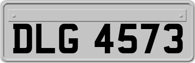 DLG4573