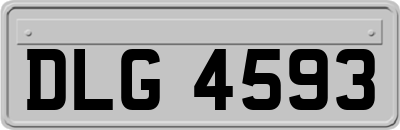 DLG4593