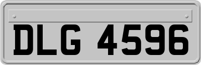 DLG4596