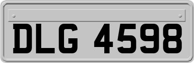 DLG4598