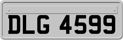 DLG4599
