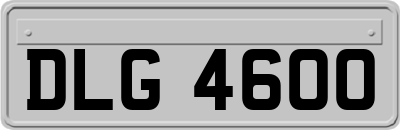 DLG4600