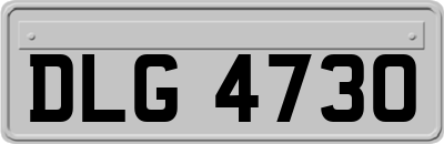 DLG4730