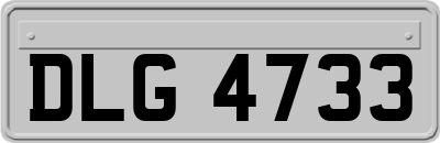 DLG4733