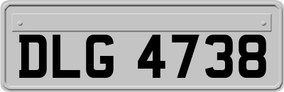 DLG4738