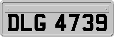 DLG4739