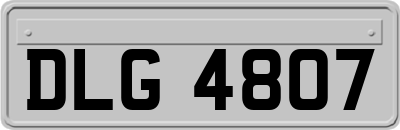 DLG4807
