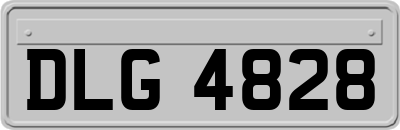 DLG4828