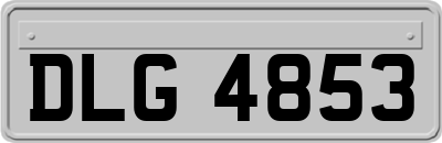 DLG4853