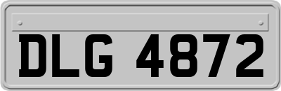 DLG4872
