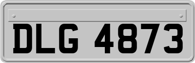 DLG4873