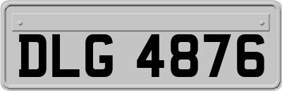 DLG4876