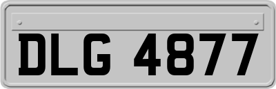 DLG4877