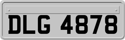 DLG4878