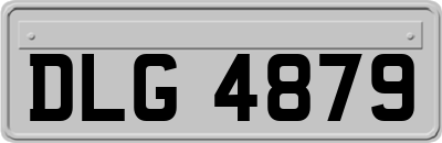 DLG4879