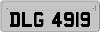 DLG4919