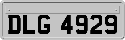 DLG4929