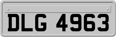DLG4963