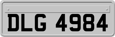 DLG4984