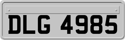 DLG4985