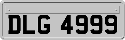 DLG4999