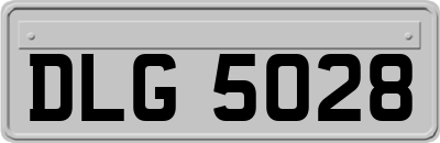 DLG5028
