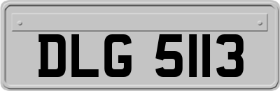 DLG5113
