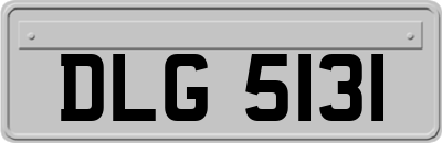 DLG5131