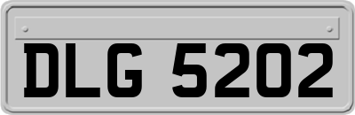 DLG5202