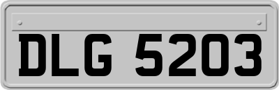 DLG5203
