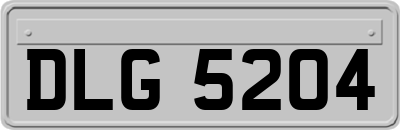 DLG5204