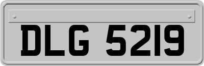 DLG5219