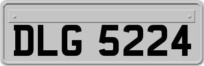 DLG5224