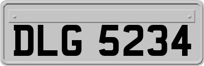 DLG5234