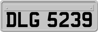 DLG5239