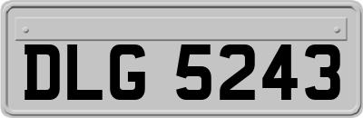DLG5243