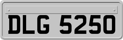 DLG5250