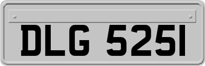DLG5251