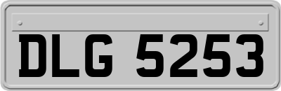 DLG5253