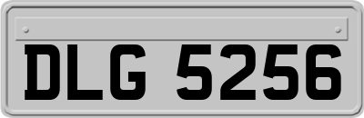 DLG5256