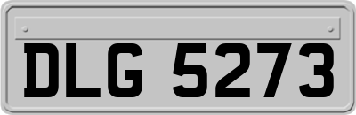 DLG5273