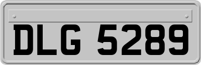 DLG5289