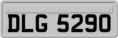 DLG5290