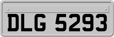 DLG5293