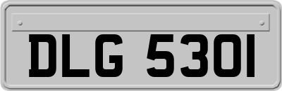 DLG5301