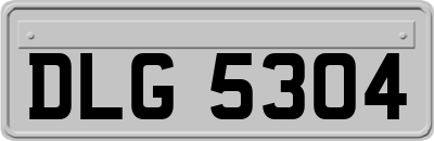 DLG5304