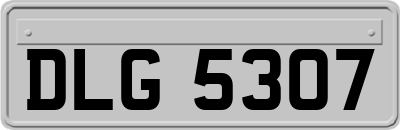 DLG5307