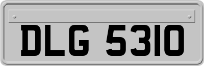 DLG5310