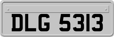 DLG5313