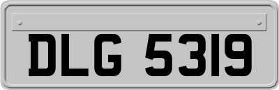 DLG5319